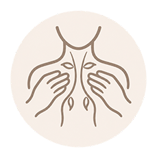 icon3 2